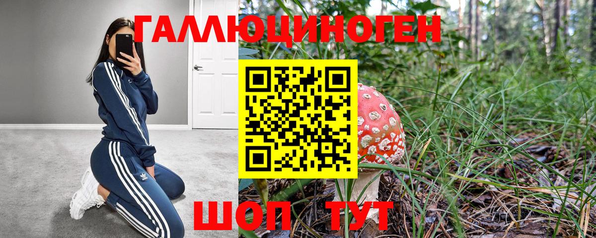Галлюциногенные грибы мицелий  где купить наркоту  Фрязино  Вход с VPN 