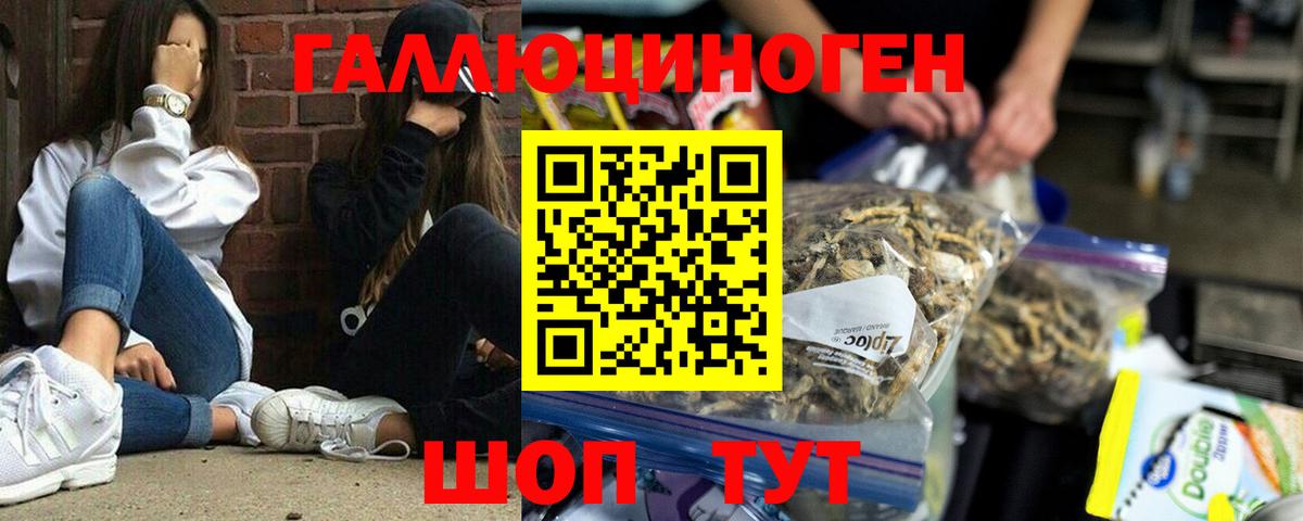 Галлюциногенные грибы прущие грибы Фрязино